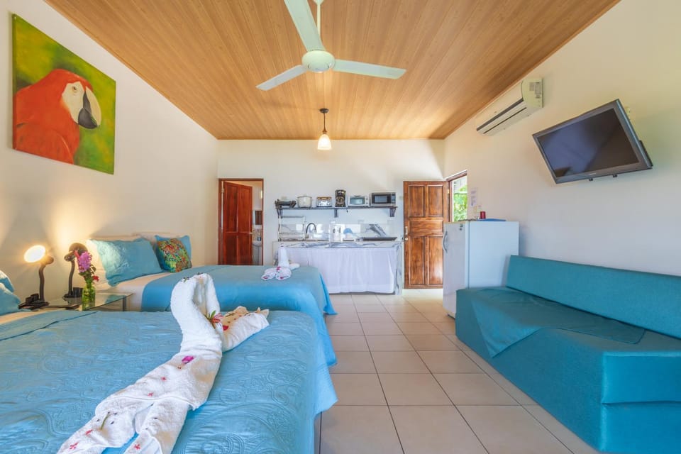Bed, TV and multimedia, Photo of the whole room, Bedroom, air conditioner