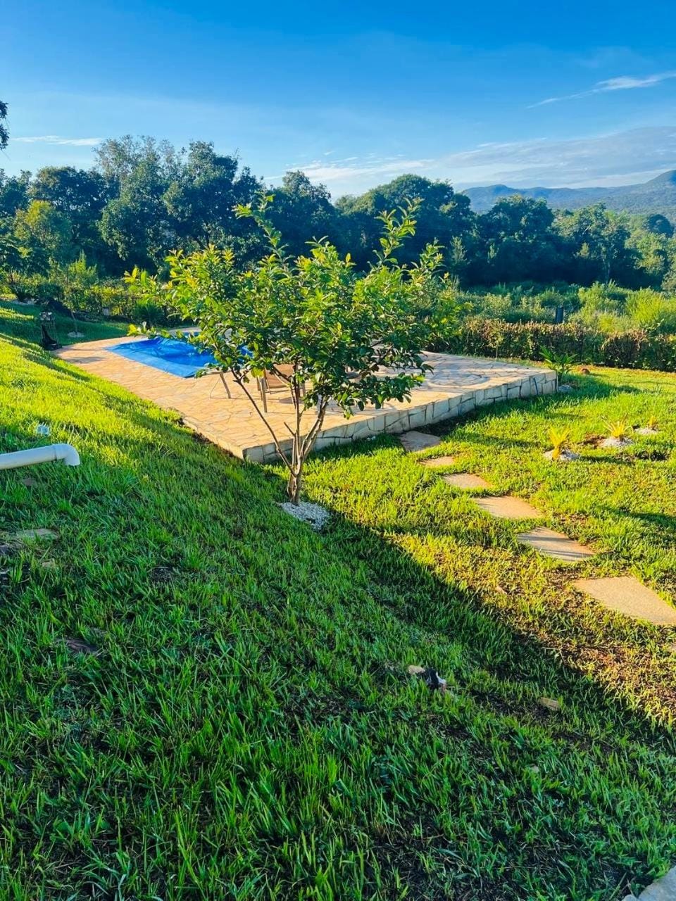 Garden view