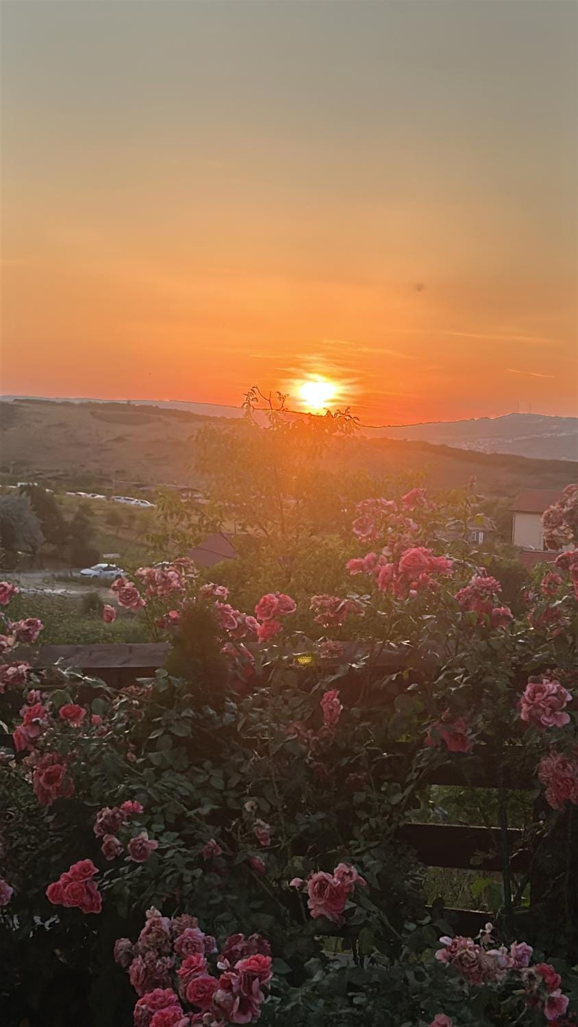Casa Miron Bed and Breakfast in Cluj-Napoca