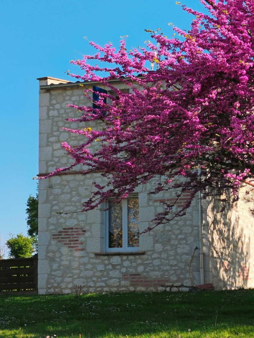 Pigeonnier de campagne House in Nouvelle-Aquitaine