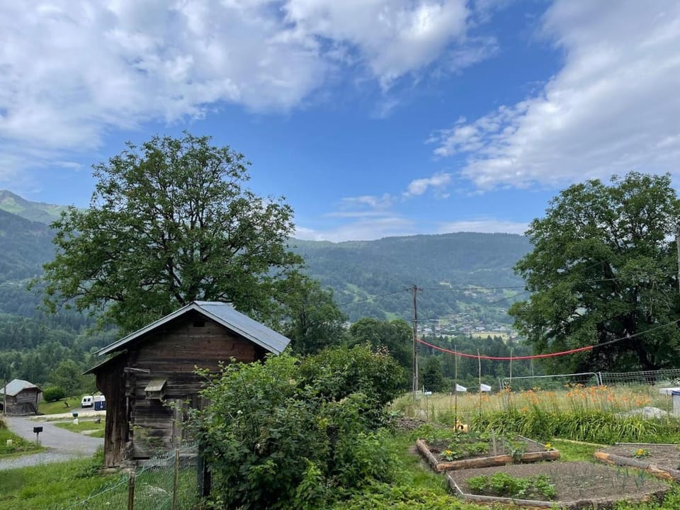 Cozy apartment with a view Apartment in Morillon