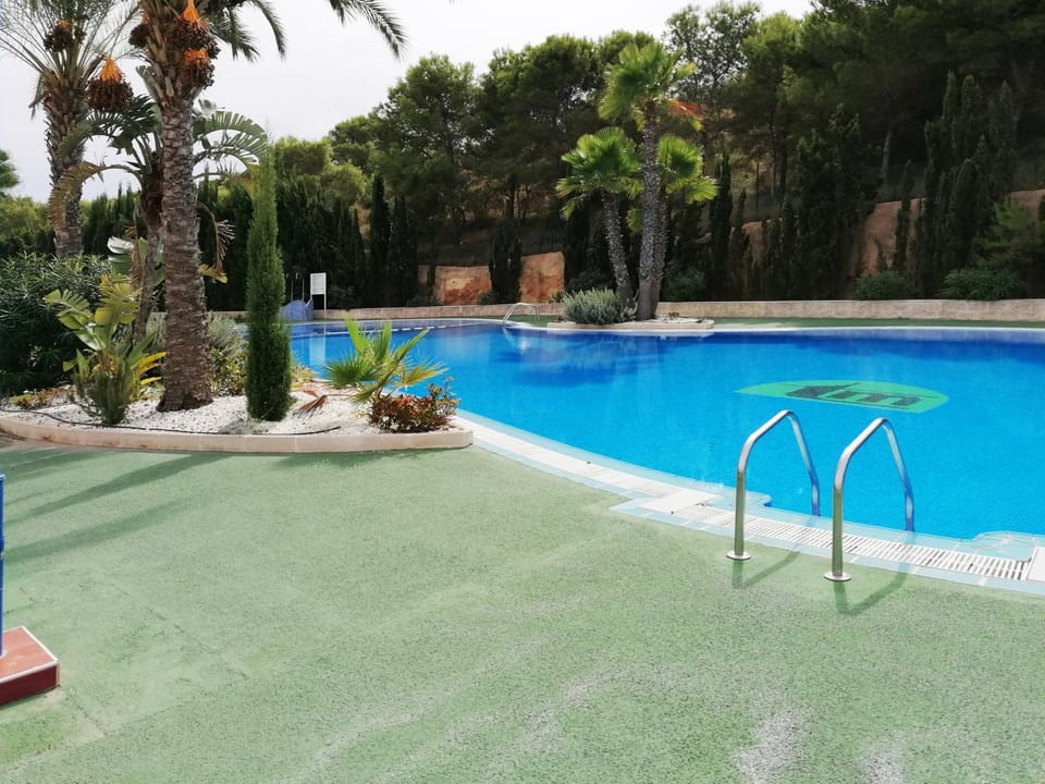 Day, Garden, Swimming pool, sunbed