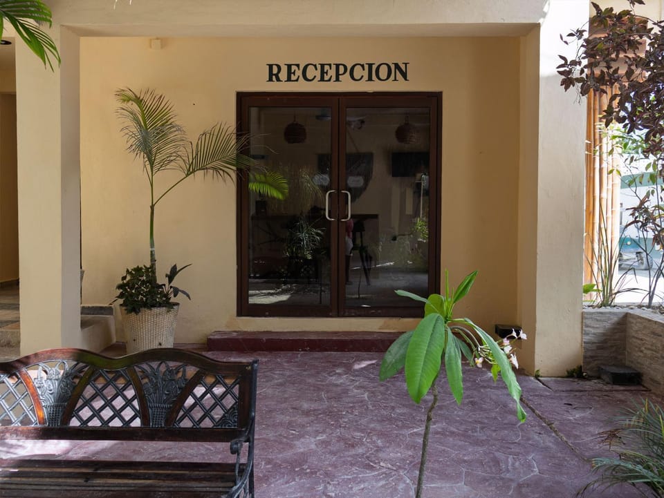 Patio, Day, Lobby or reception