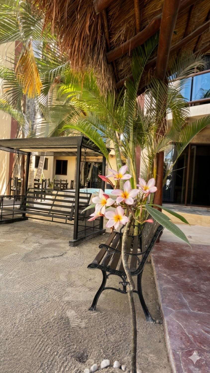 Patio, Off site, Day