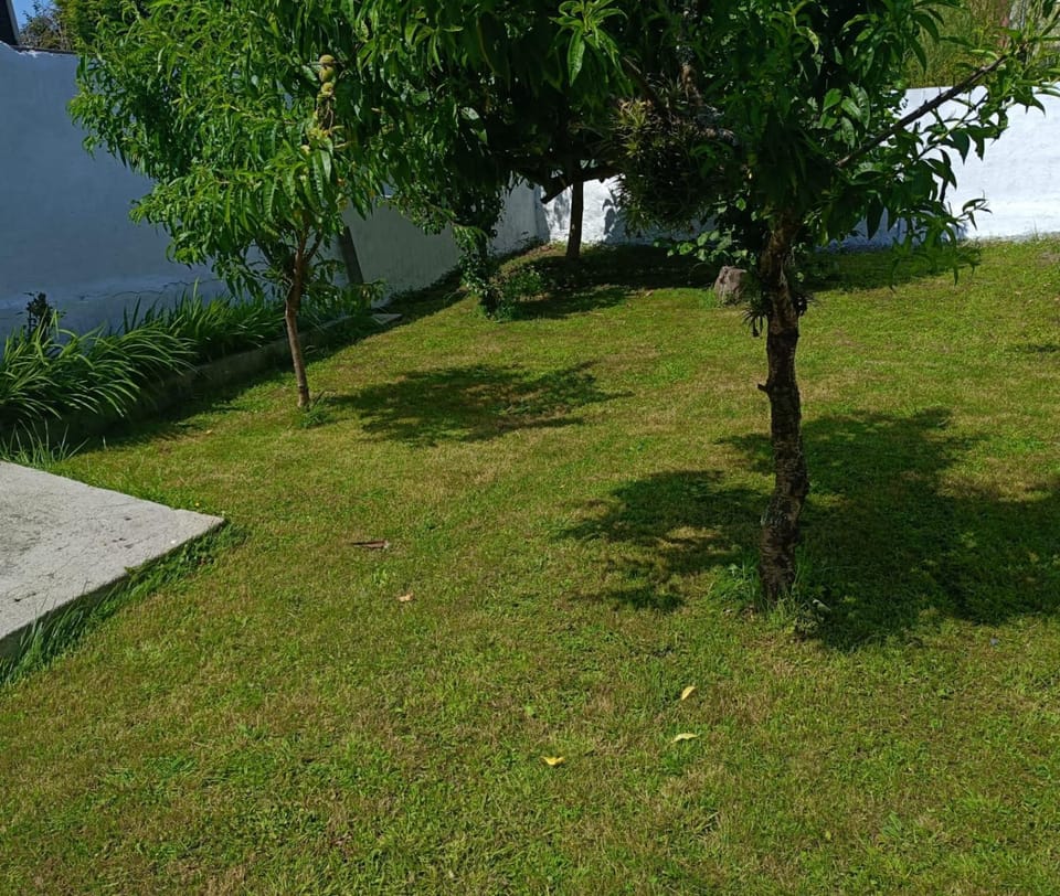 Garden, Garden