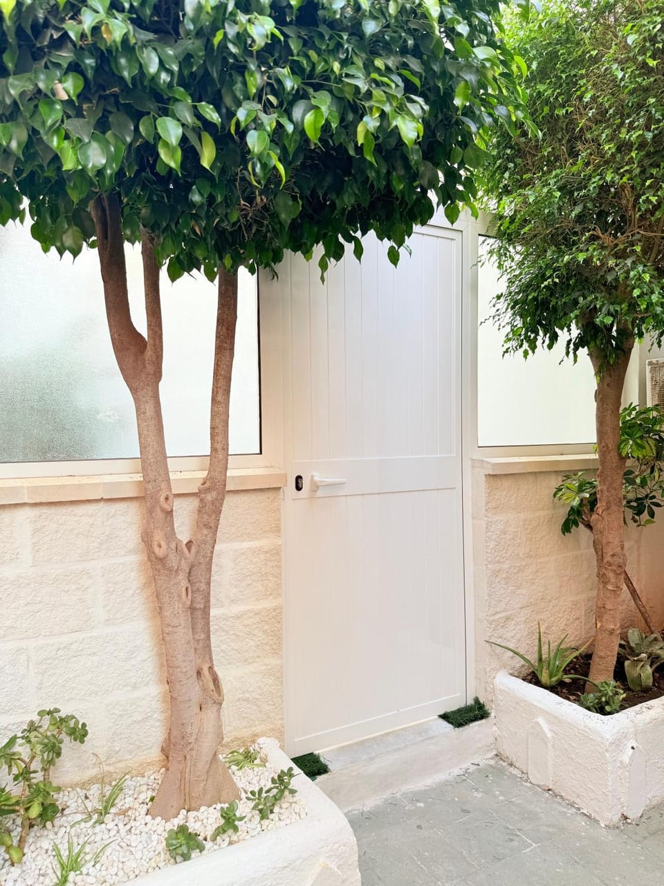 Garden view