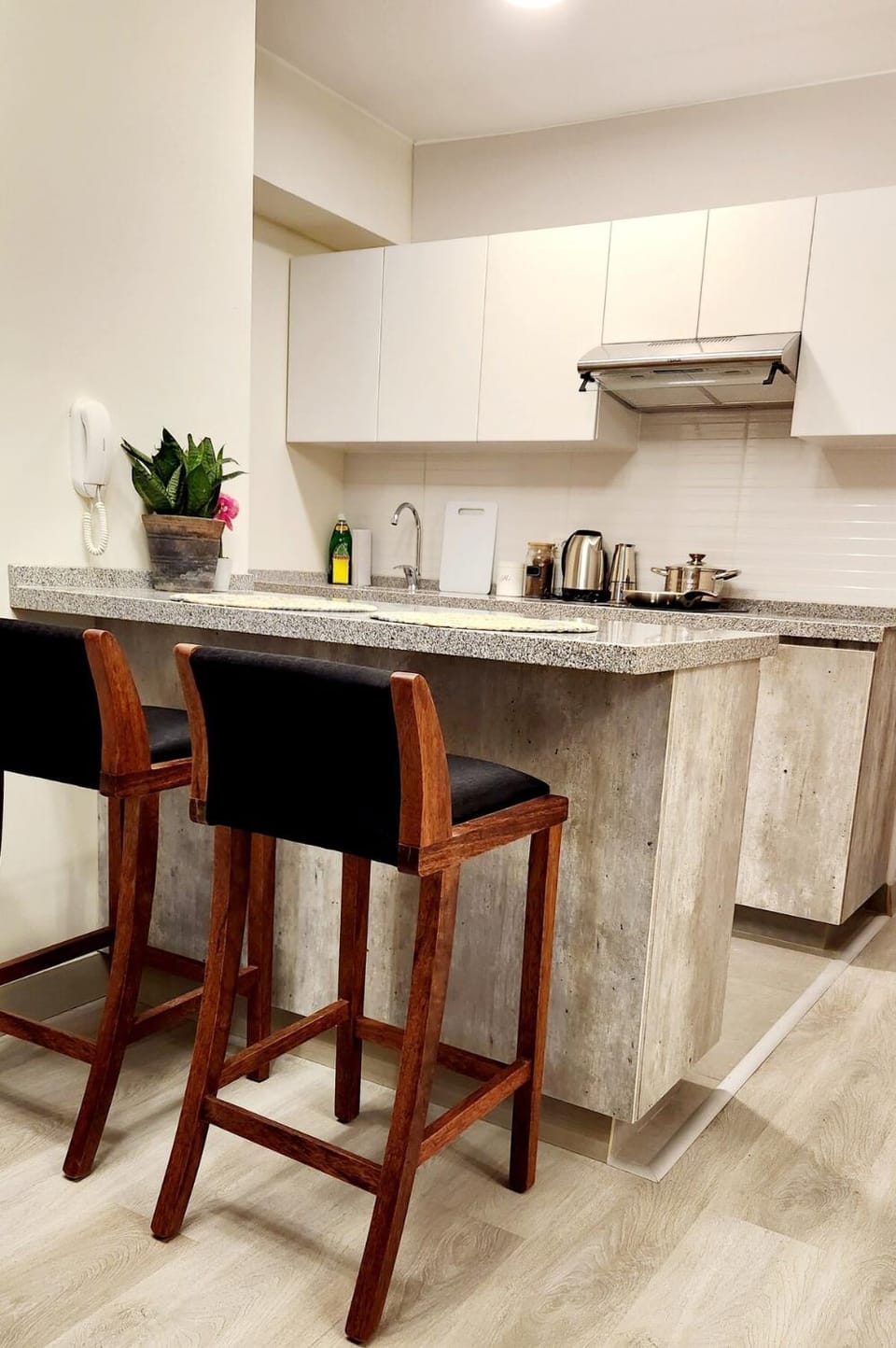 Loft Cultura Apartment in San Borja