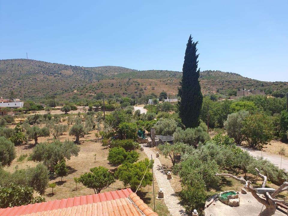 Natural landscape, Garden