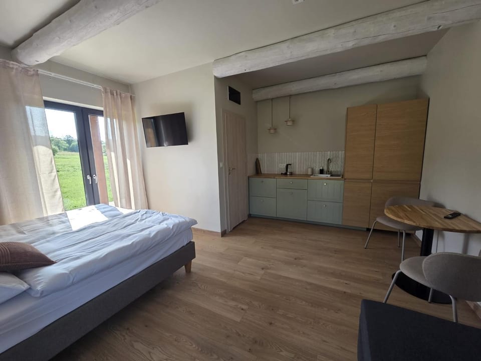 Bed, TV and multimedia, Kitchen or kitchenette, Photo of the whole room, Seating area, Bedroom, wardrobe