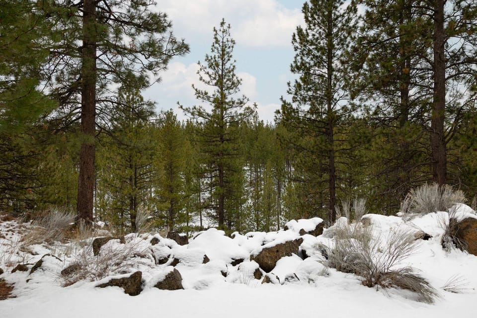 Cozy Cascade Retreat - For 4 House in Deschutes River Woods