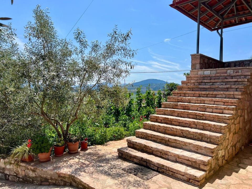 Property building, Garden