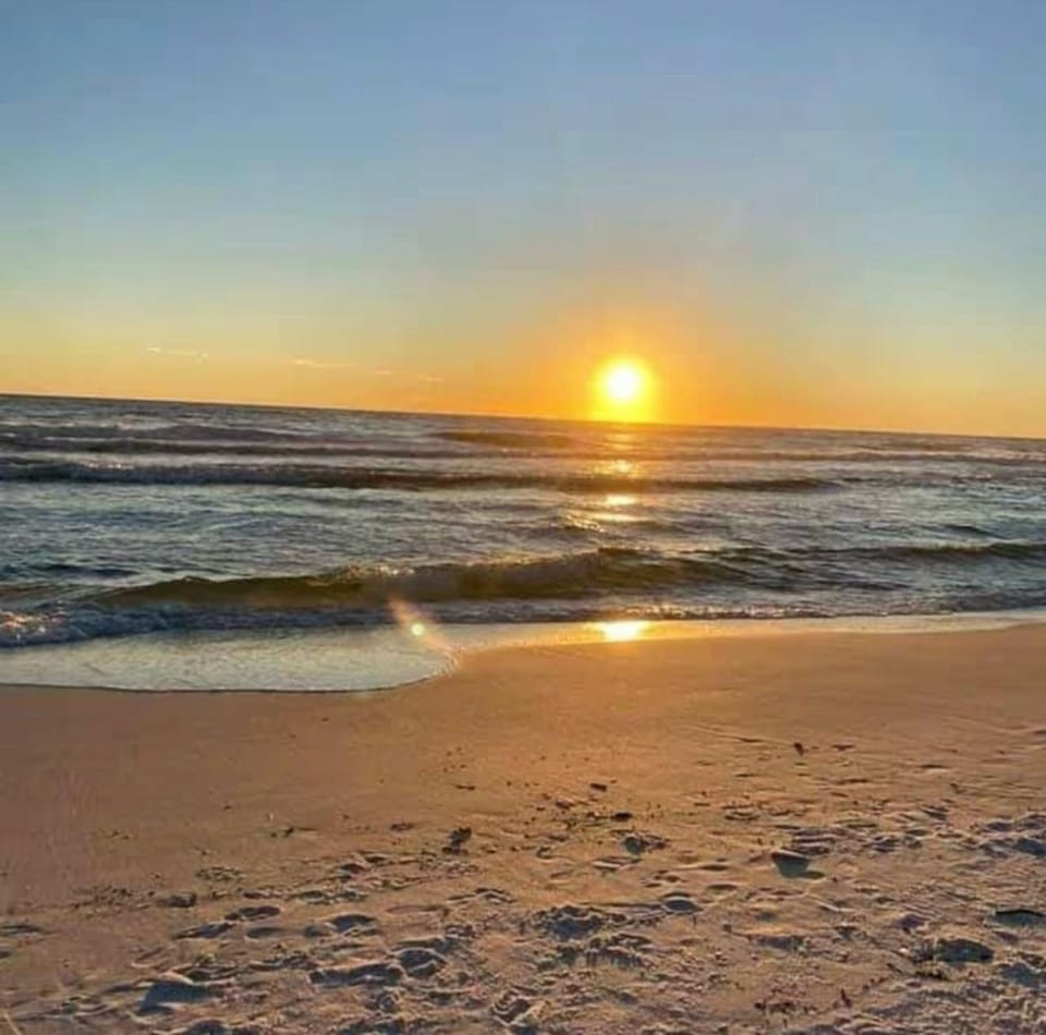 Pet Friendly Beach Retreat On 30A - Sleeps 14 House in South Walton County