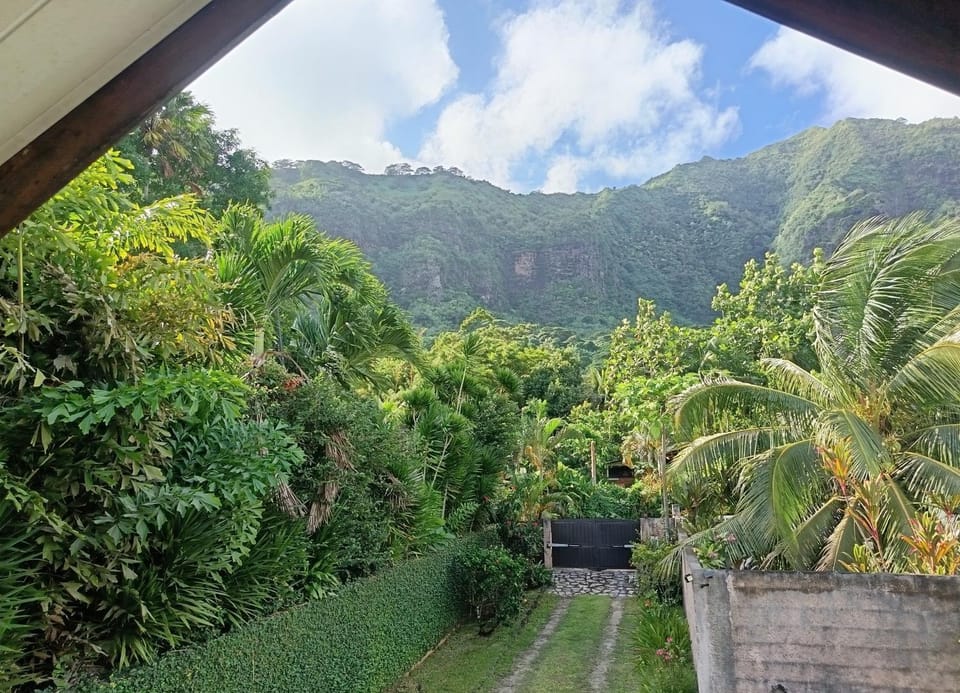 Natural landscape, View (from property/room), Photo of the whole room, Garden view, Landmark view, Mountain view