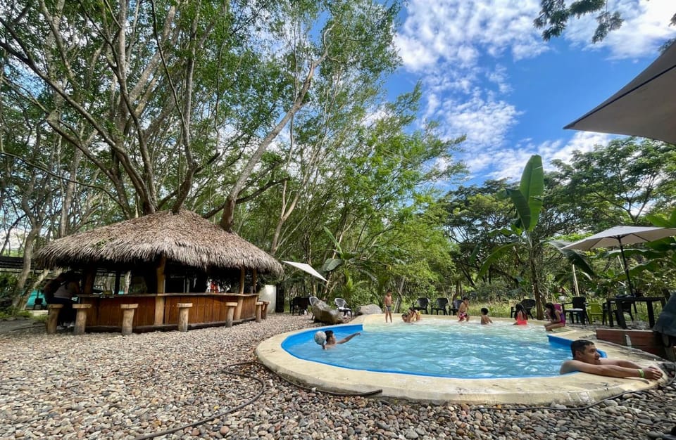Swimming pool, Swimming pool