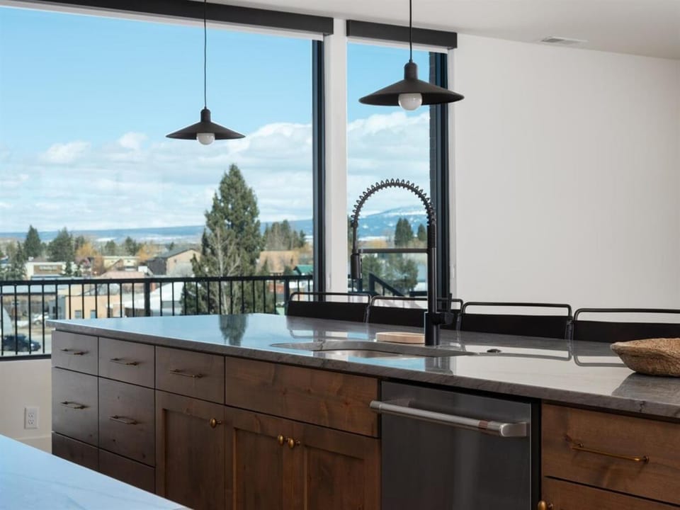 Kitchen or kitchenette, dishwasher