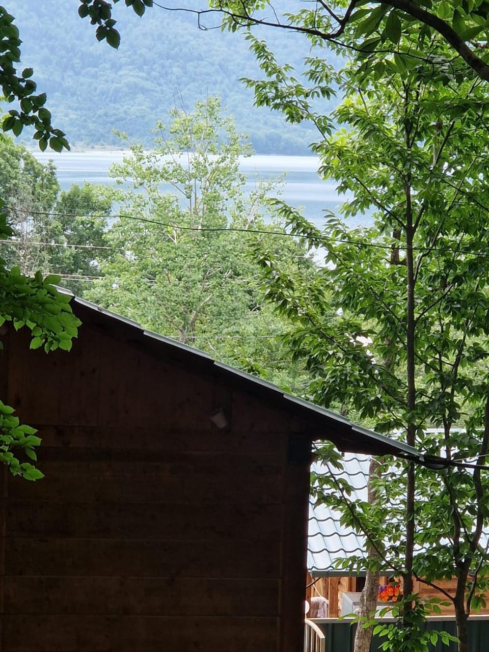Lake view