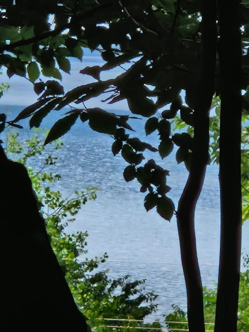Day, Lake view