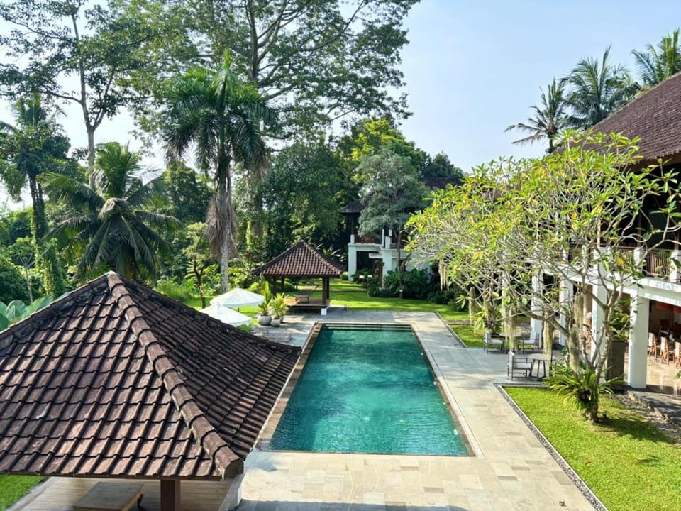Spring, Day, Natural landscape, Garden, Garden view, Pool view, Swimming pool