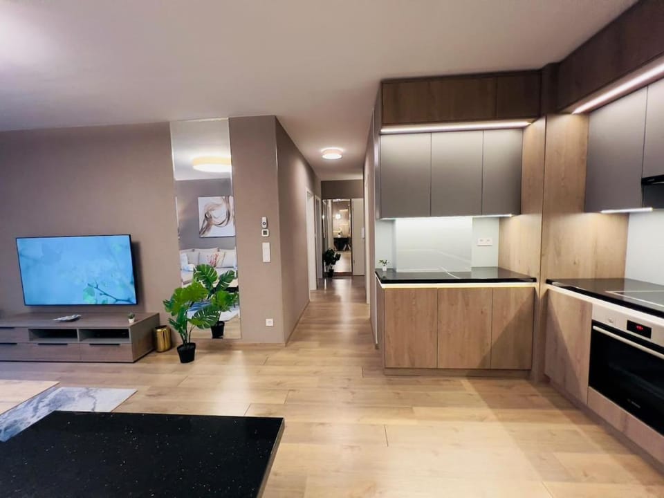 Karzo Property LU 206 Free Garage Apartment in Budapest