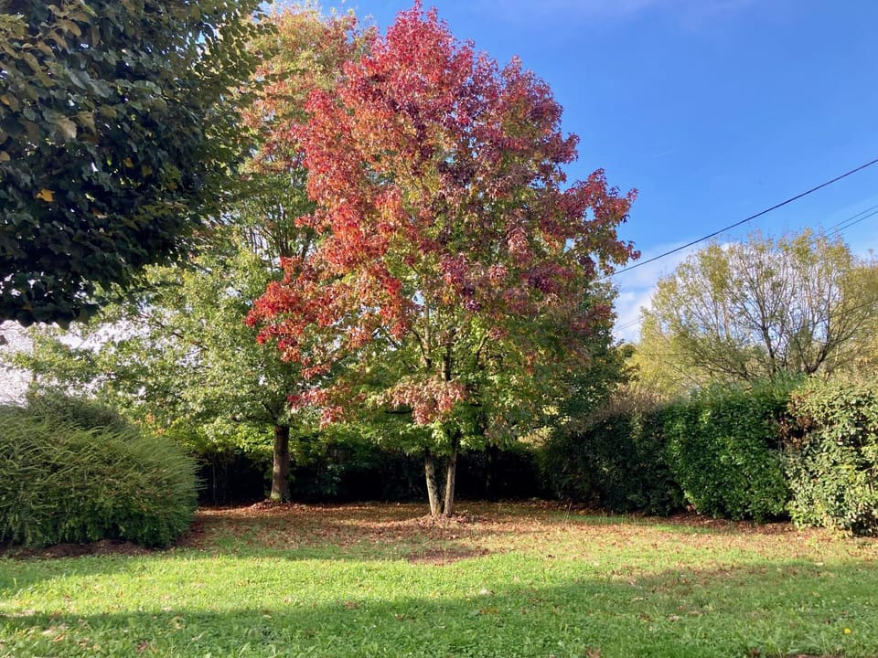 Garden, Garden