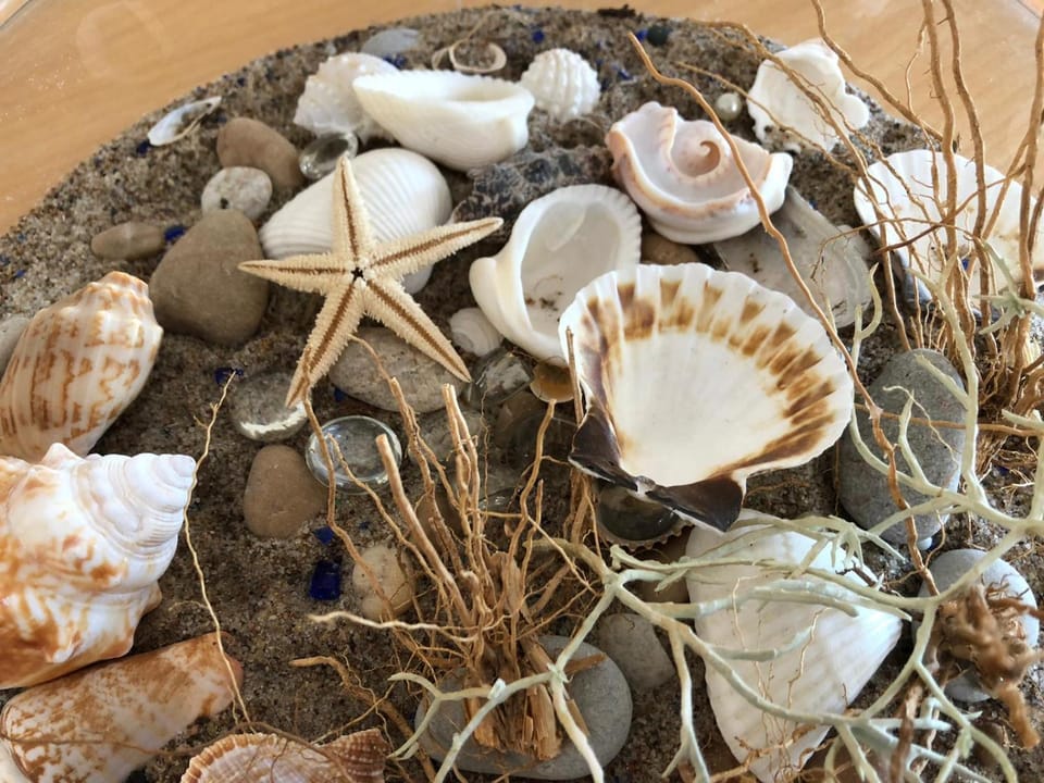 Amber Loft Apartment in Klaipėda County, Lithuania