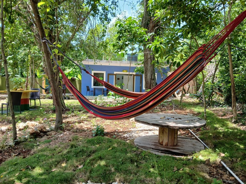Jack Fruit House House in Negril