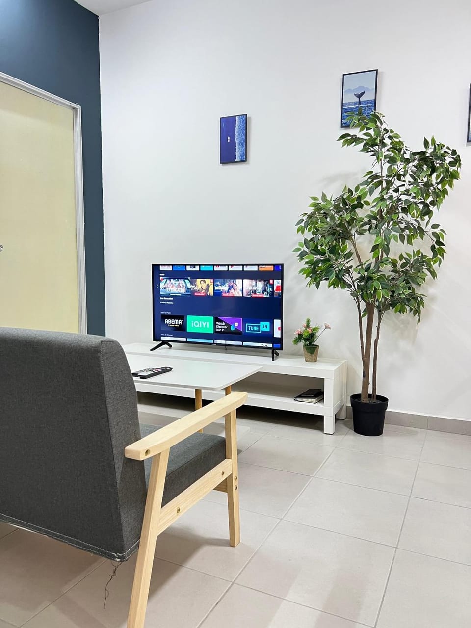 TV and multimedia