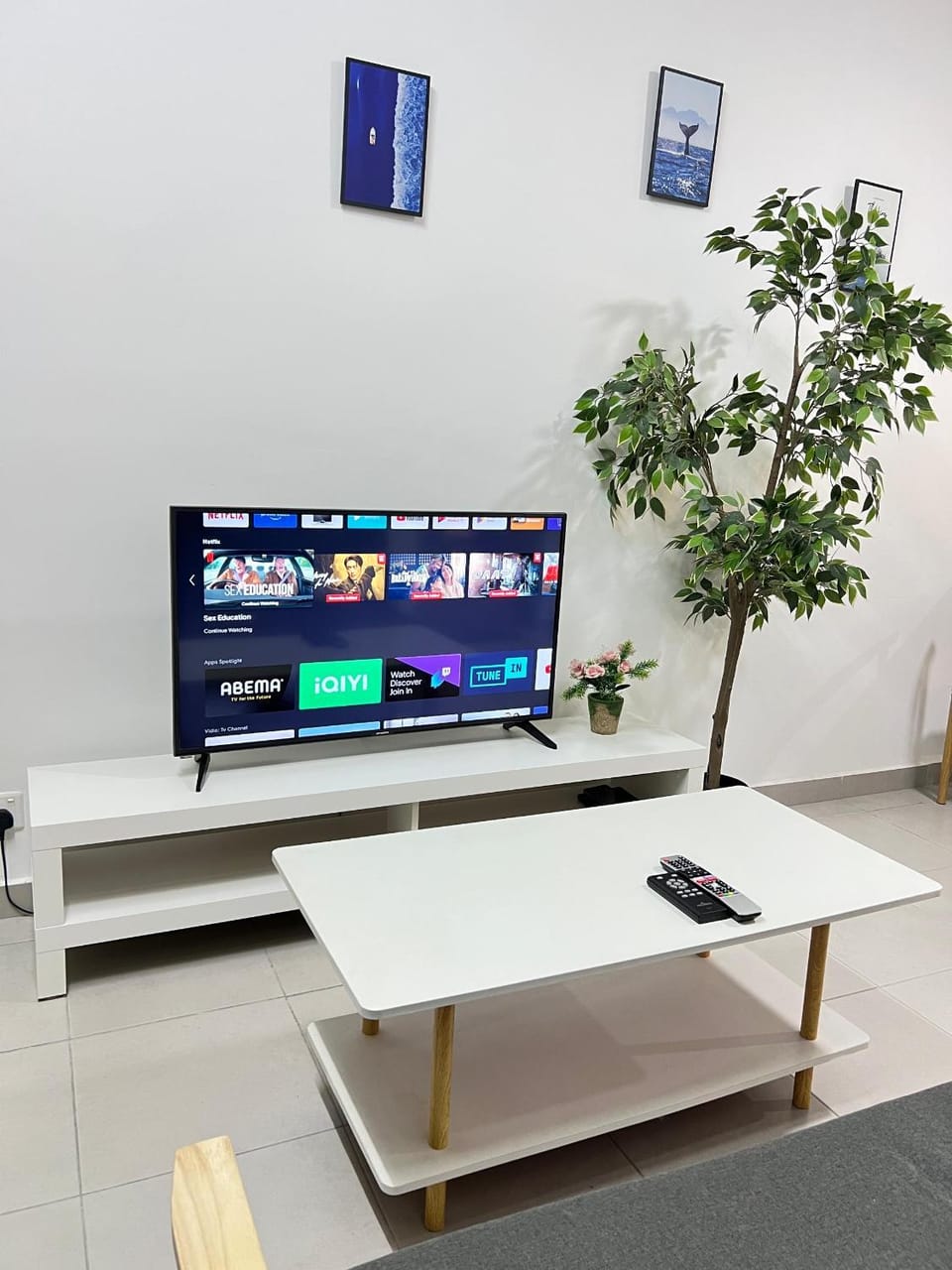 TV and multimedia