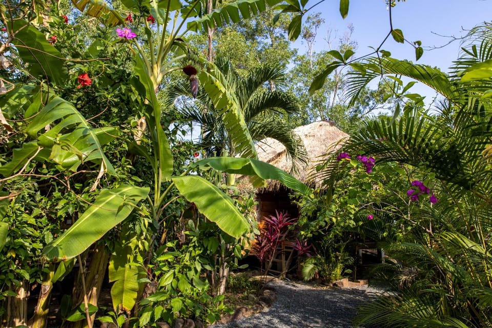 Garden, Garden view