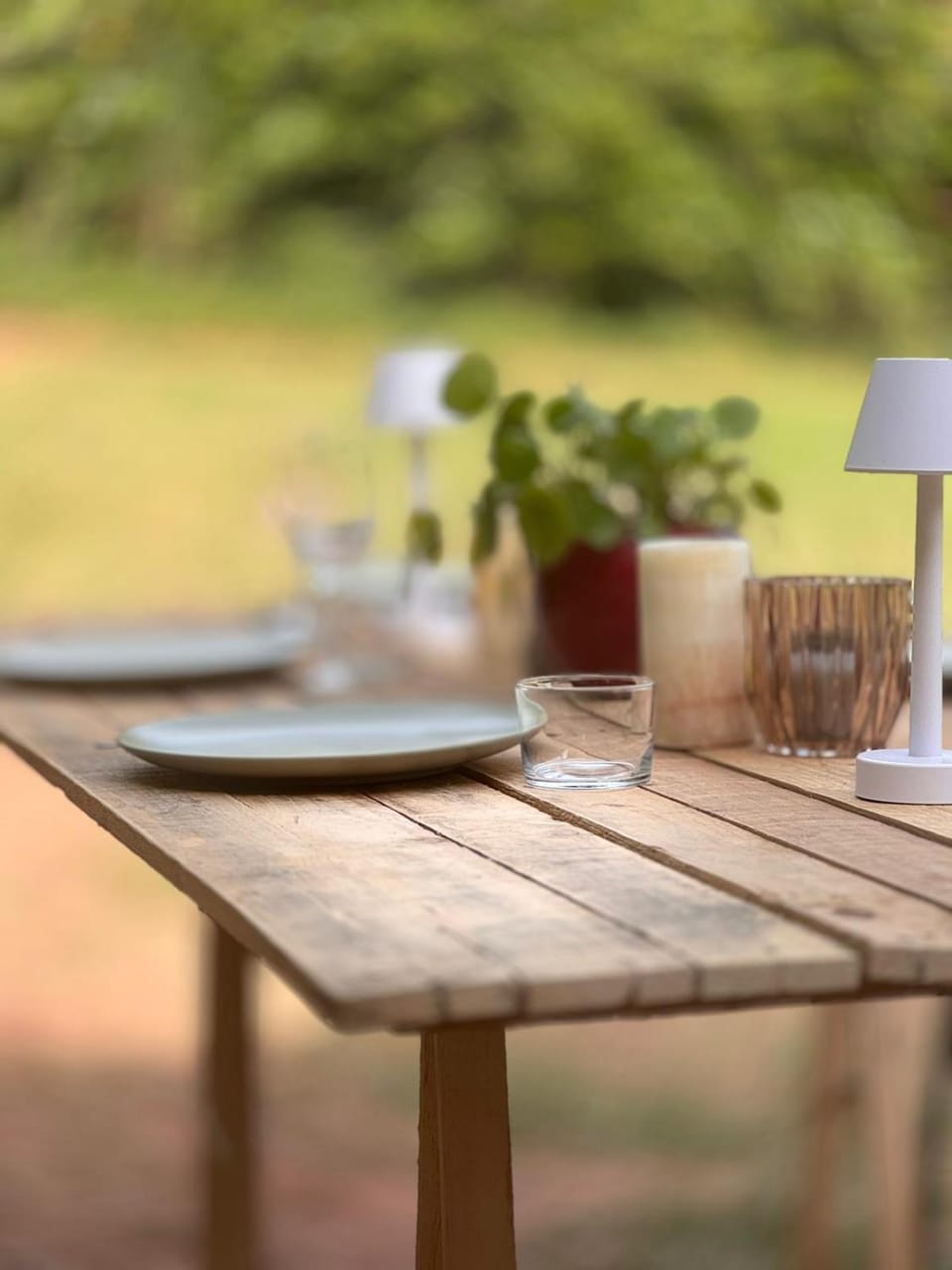 Glamping Luz Olive Luxury tent in Occitanie