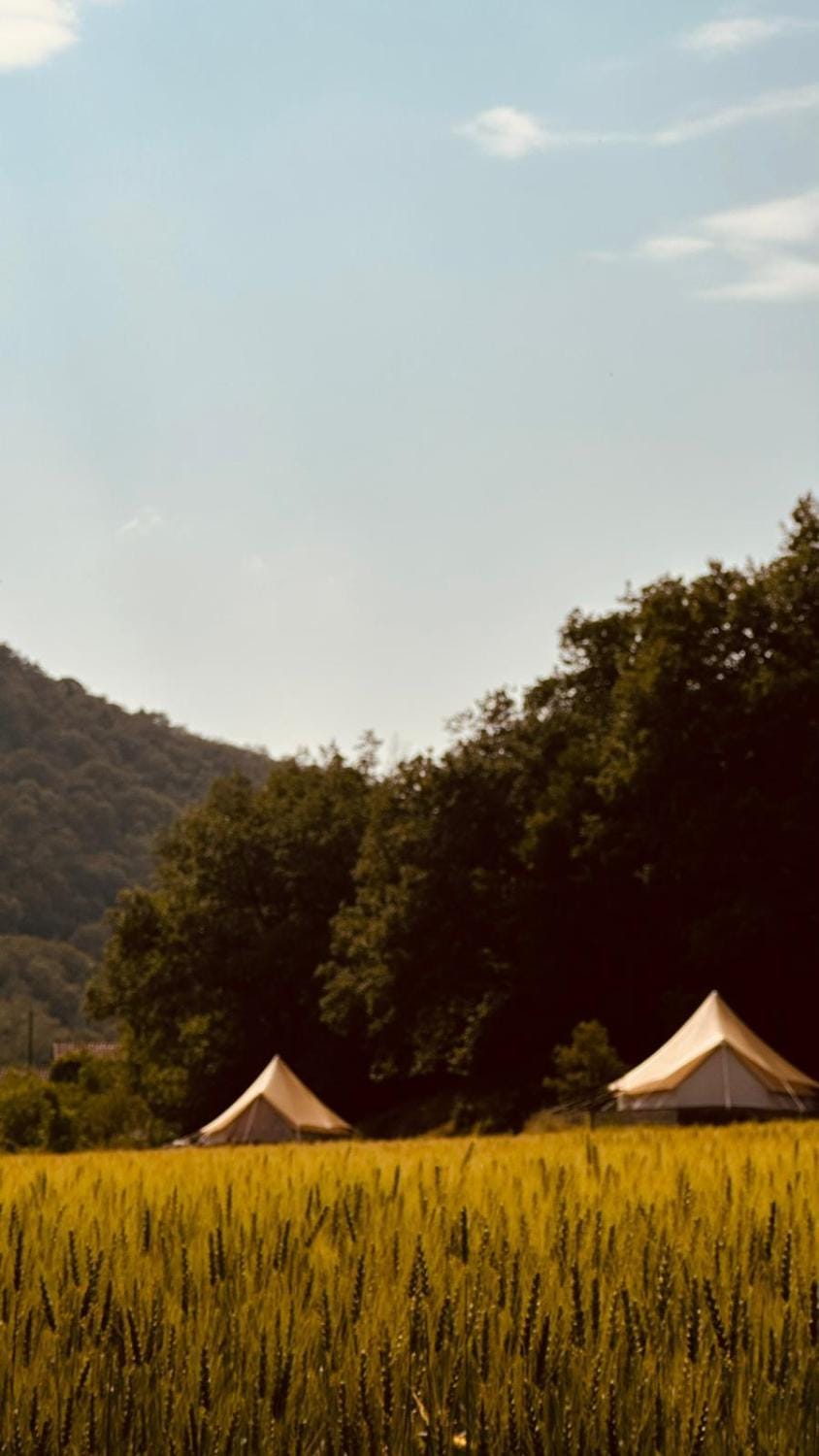 Glamping Luz Olive Luxury tent in Occitanie