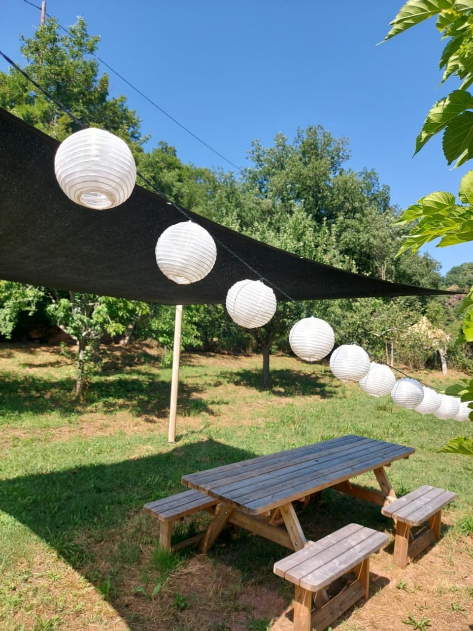 Glamping Luz Olive Luxury tent in Occitanie