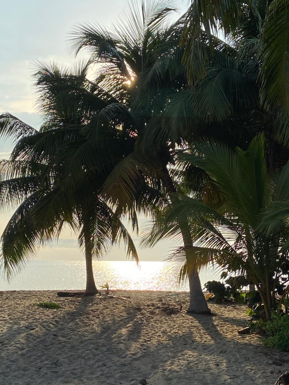 Day, Natural landscape, View (from property/room), Beach, Sea view