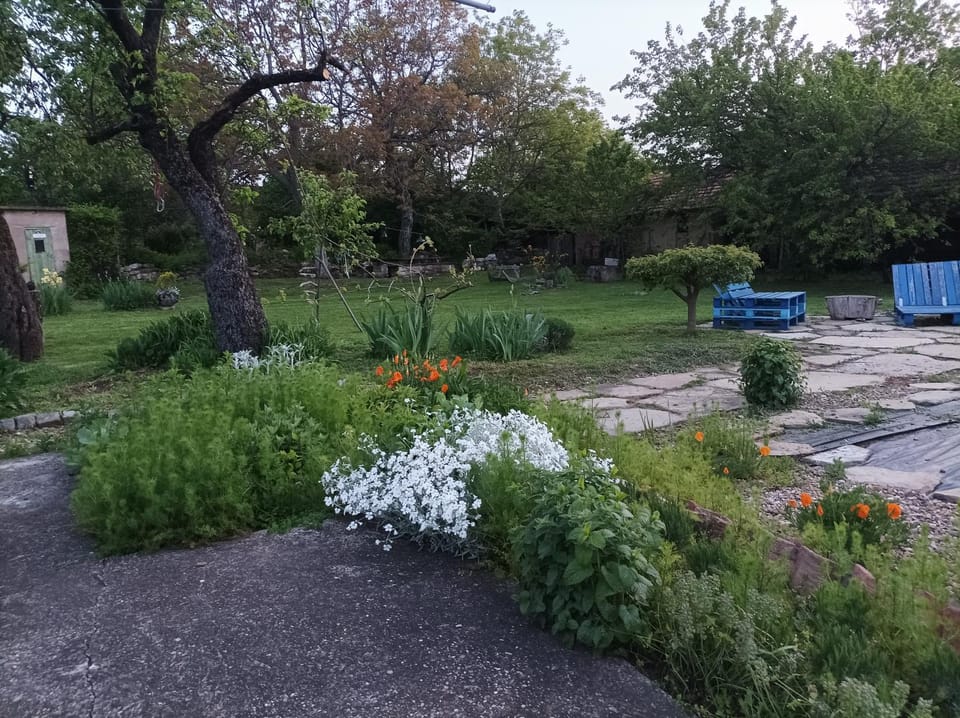Garden view