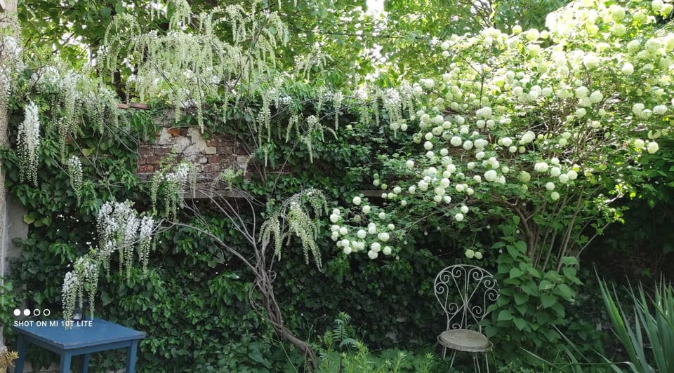 Garden, Garden view