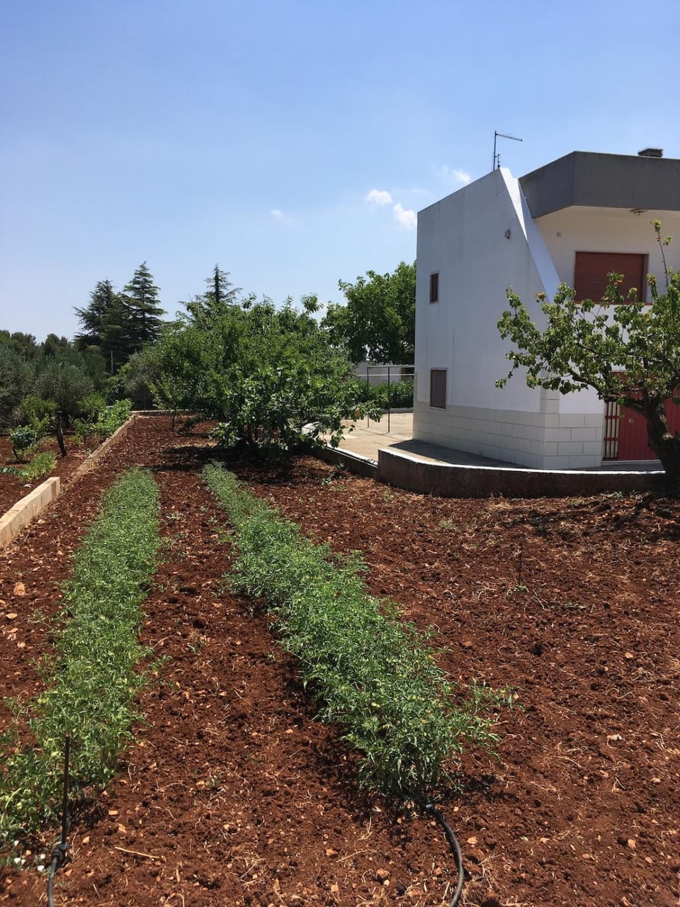 Property building, Natural landscape, Garden, Garden, Garden view
