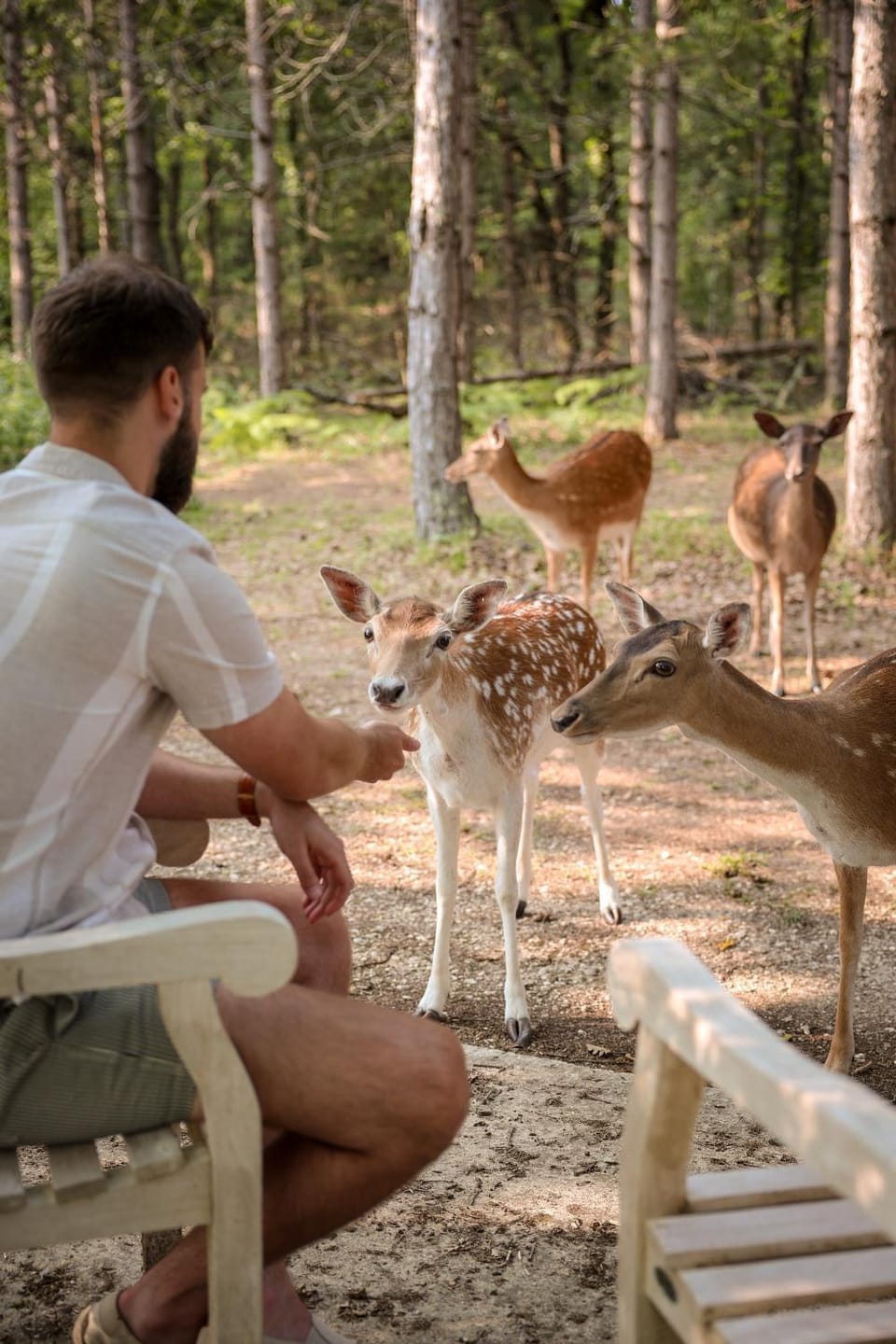 Domaine de Pech et Lafon Cabanes avec SPA privatif dans les arbres Nature lodge in Nouvelle-Aquitaine