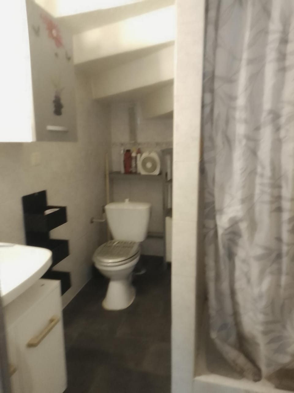 Toilet, Bathroom