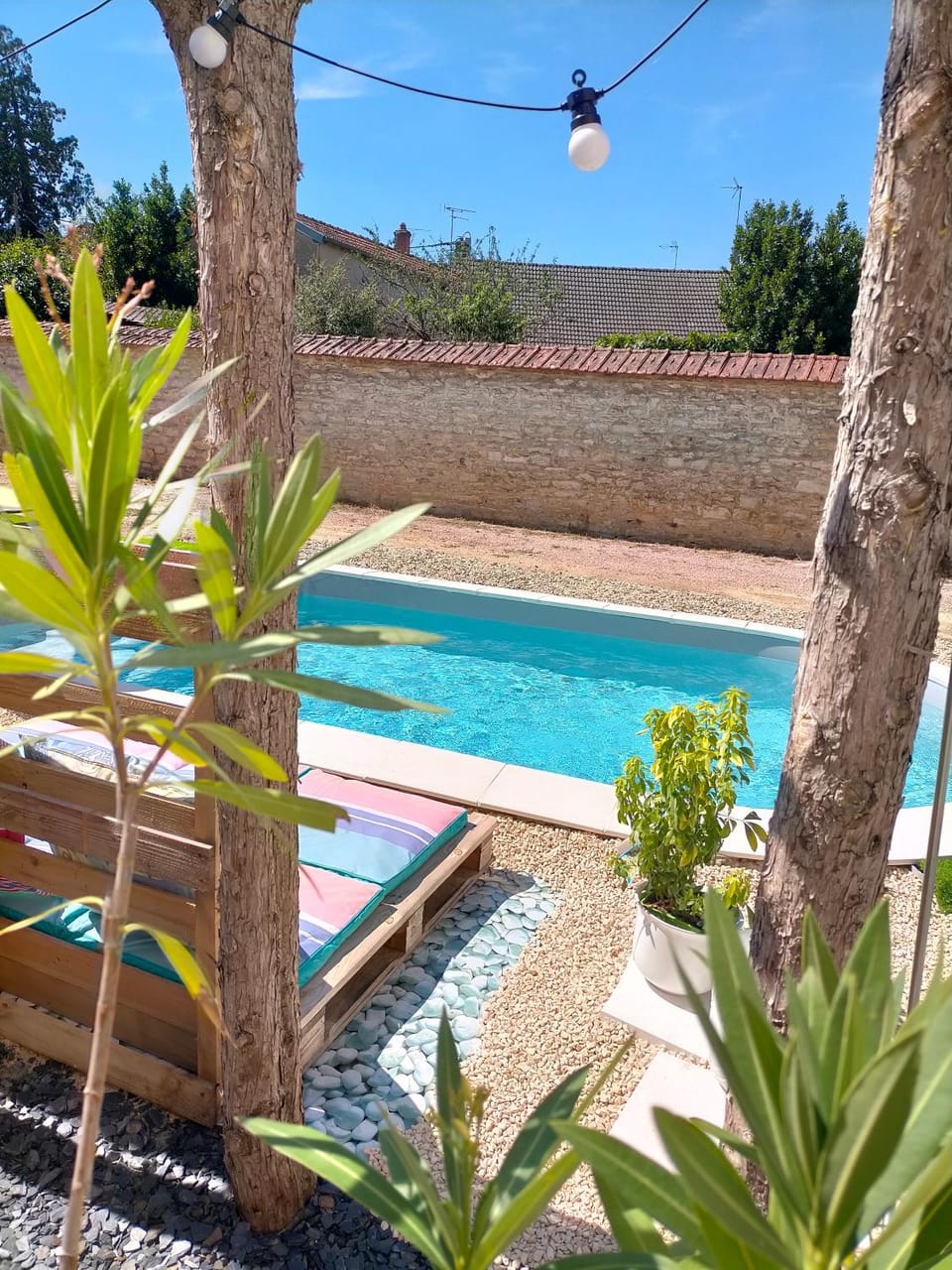 Garden, Pool view, Swimming pool, sunbed