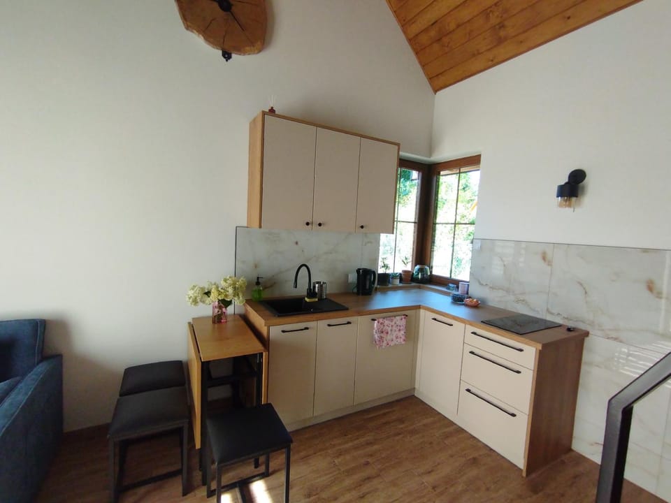 Domek pod Dębami Górecko Kościelne House in Lviv Oblast