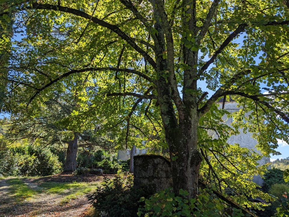 Spring, Day, Natural landscape