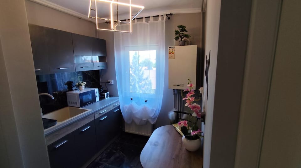 Darlar Loft Apartment in Serbia
