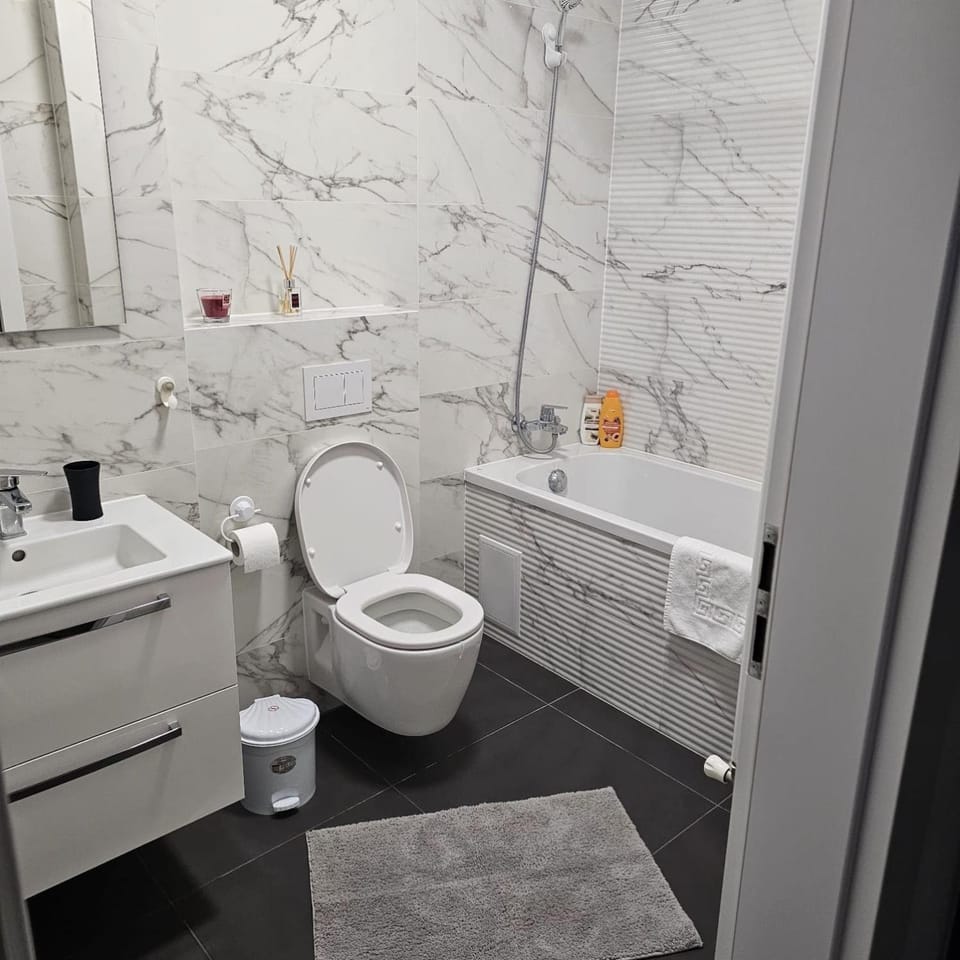 Apartament Royal lux Arad Apartment in Timiș County