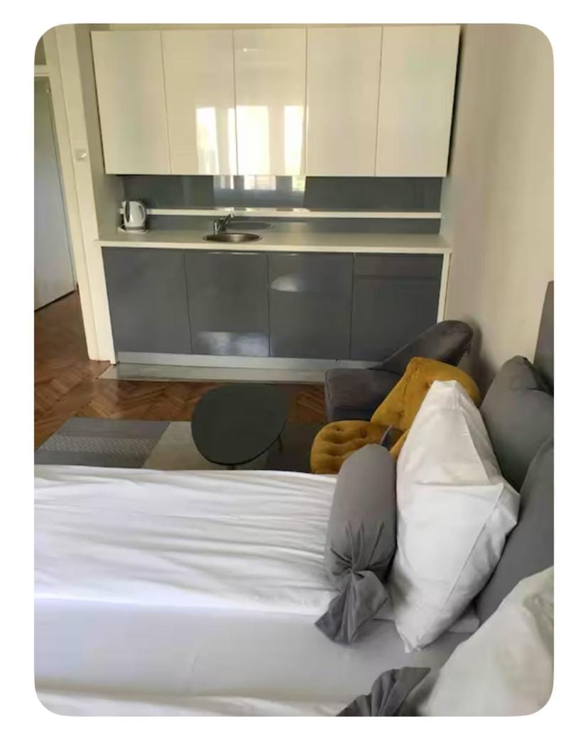 Pedestrian Zone Escape Apartment in Belgrade