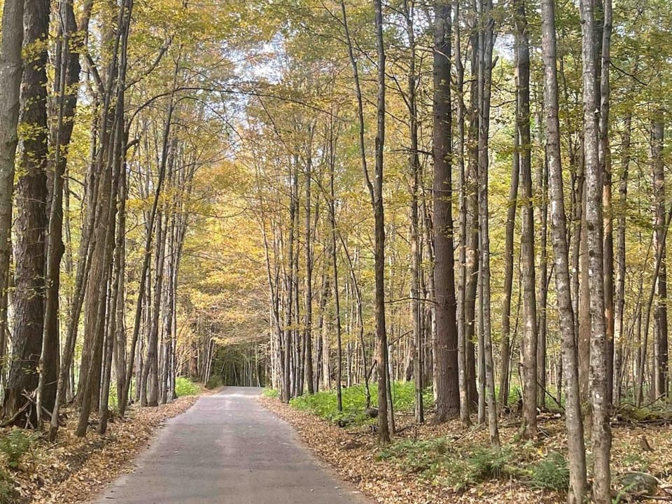 Neighbourhood, Natural landscape, Autumn