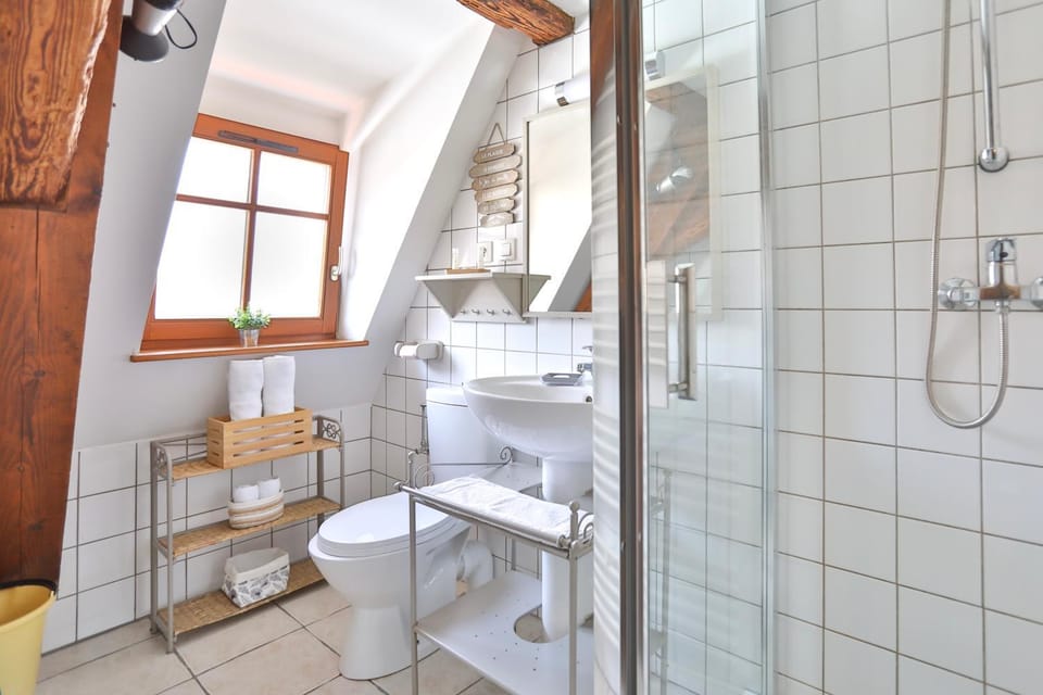 Shower, Toilet, towels