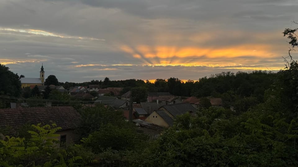 View (from property/room)