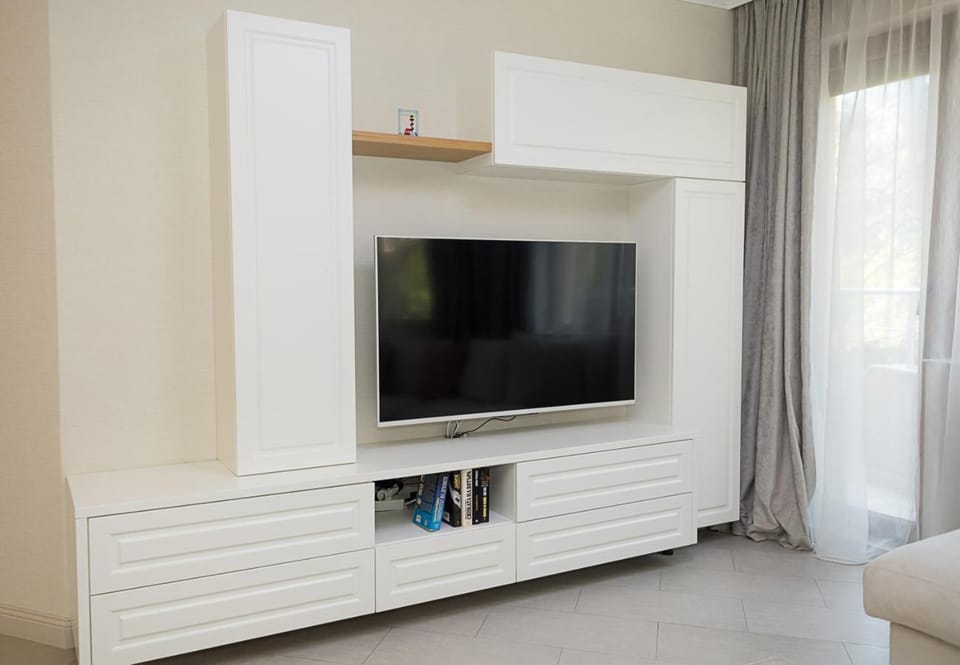 TV and multimedia