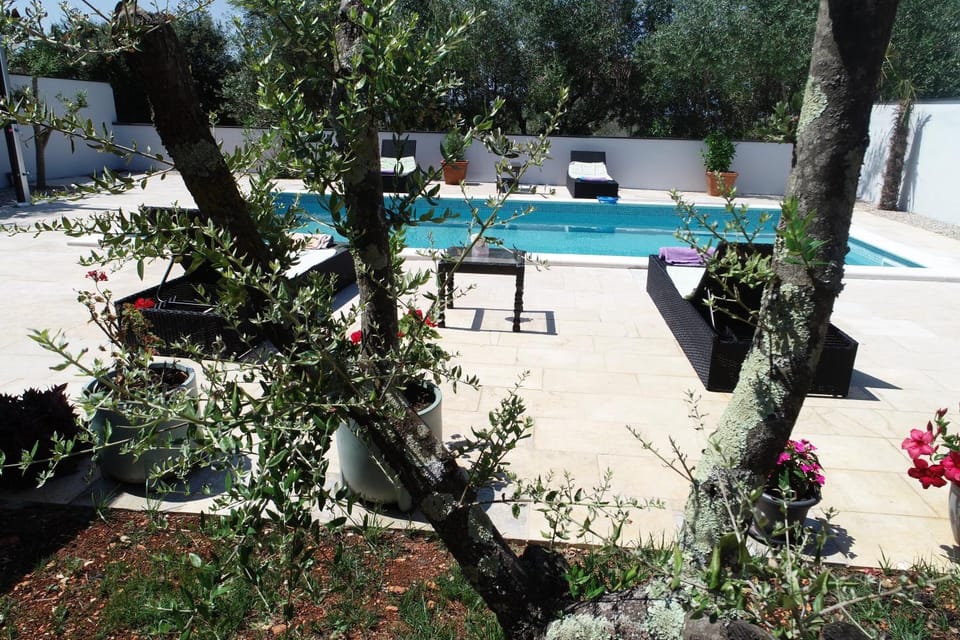 Swimming pool, sunbed