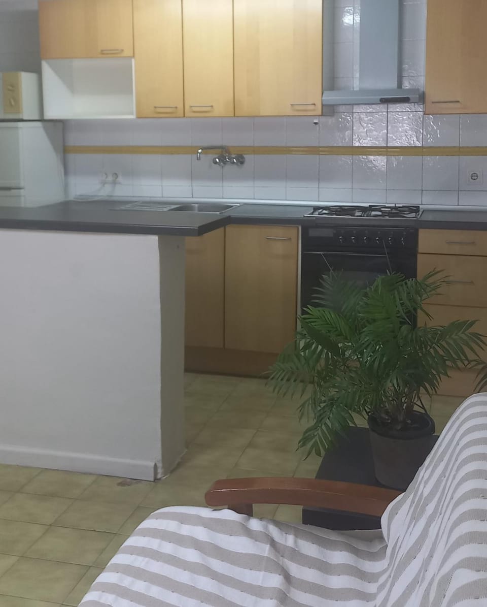 Apartamento Apartment in Pallars Jussà